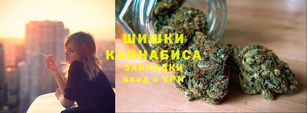 сатива Зеленокумск