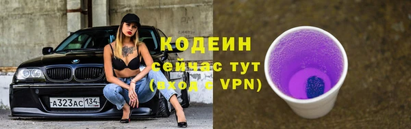 дурь Инсар