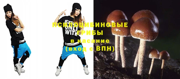 дурь Инсар