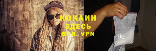 дурь Инсар