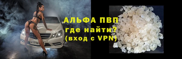 сатива Зеленокумск