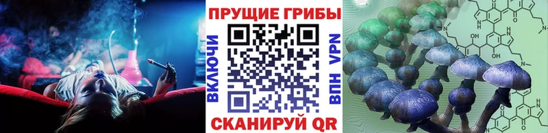 Галлюциногенные грибы Psilocybine cubensis  ОМГ ОМГ ONION  нарко площадка формула  Ишимбай 